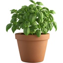 ريحان مكبس | Rehan (Basil) - Mukabas - red | 17 cm